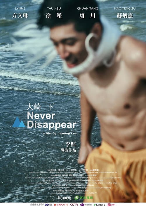 Poster for Never Disappear