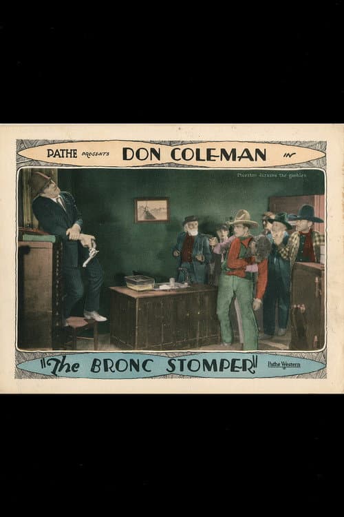Poster for The Bronc Stomper
