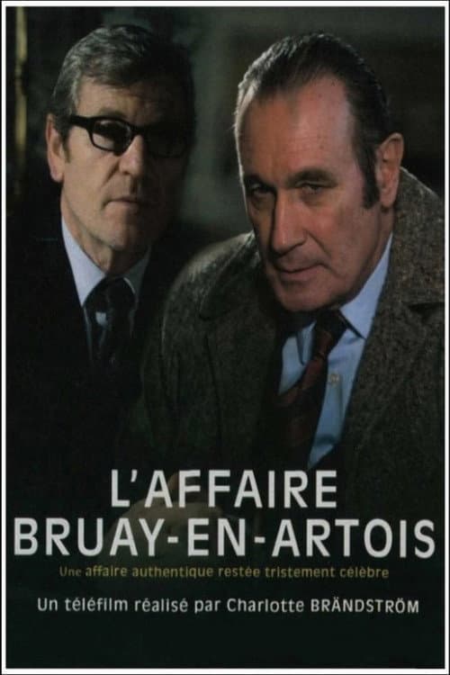 Постер до фільму «L'Affaire Bruay-en-Artois»
