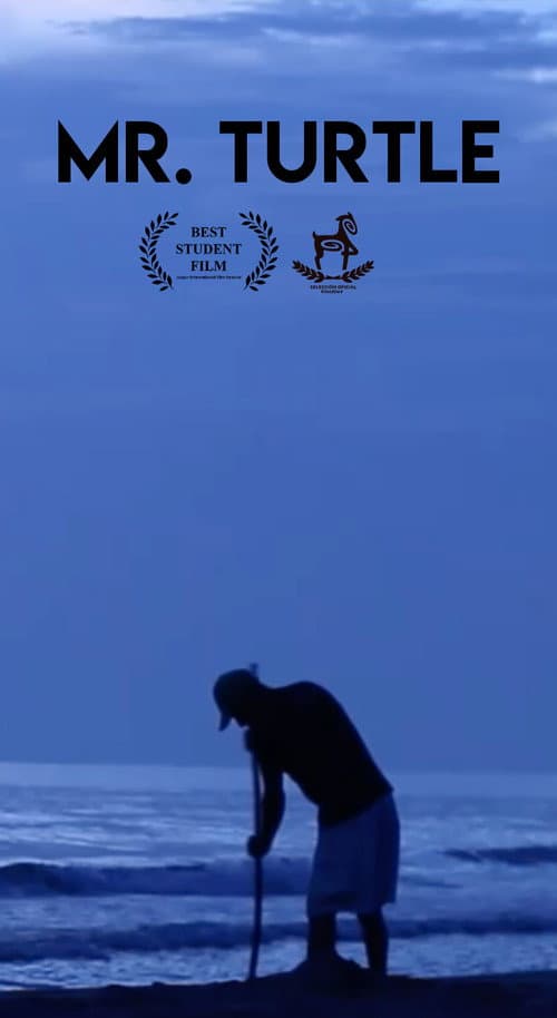 Poster for Mr. Turtle
