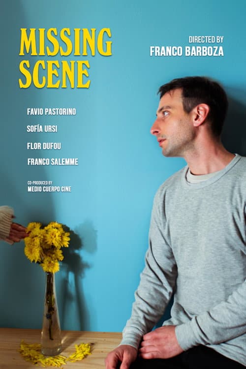 Poster for Missing Scene