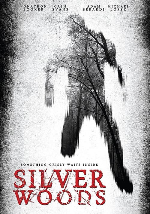 Poster for Silver Woods