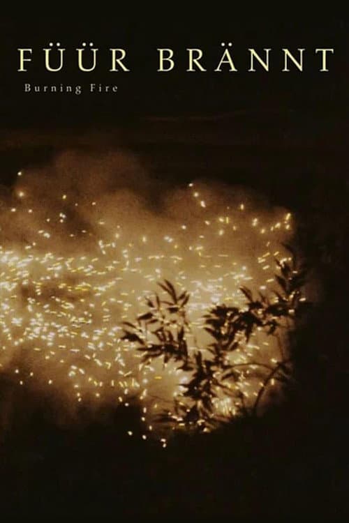 Poster for Burning Fire