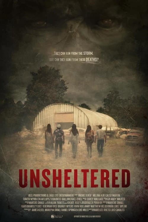Постер до фільму «Unsheltered»
