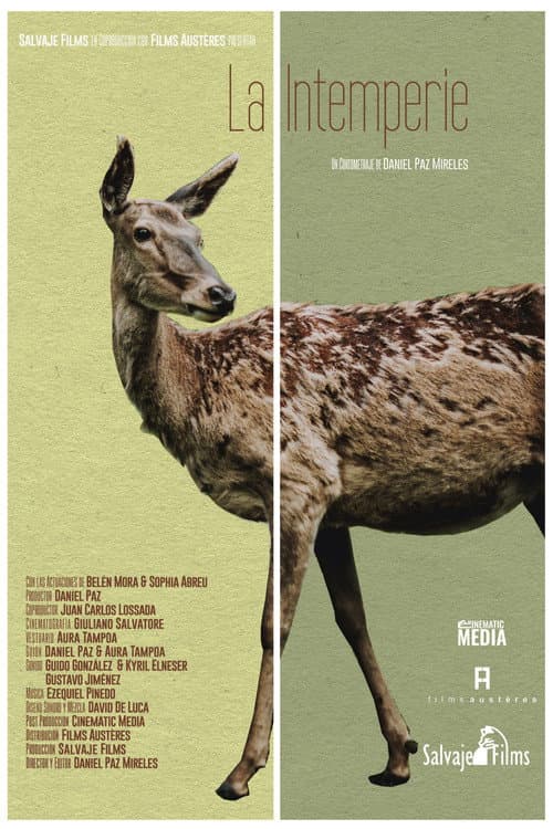Poster for Out in the Open