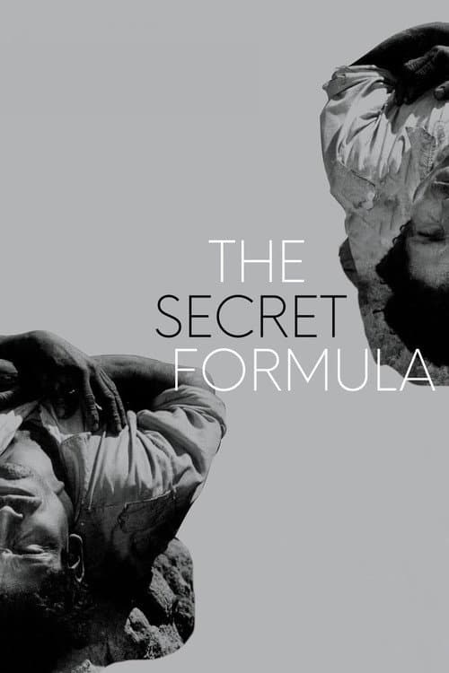 Poster for The Secret Formula