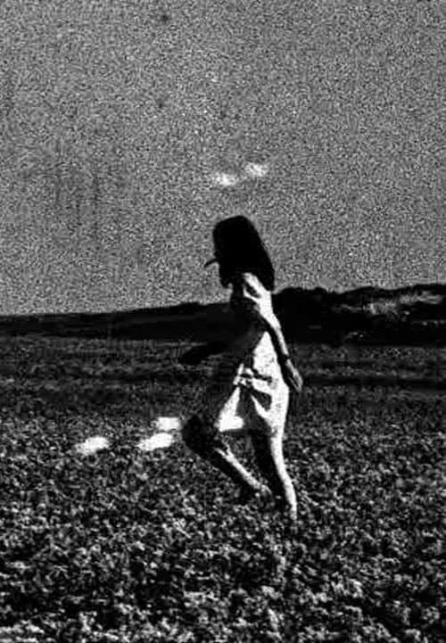 Poster for Dream Enclosure
