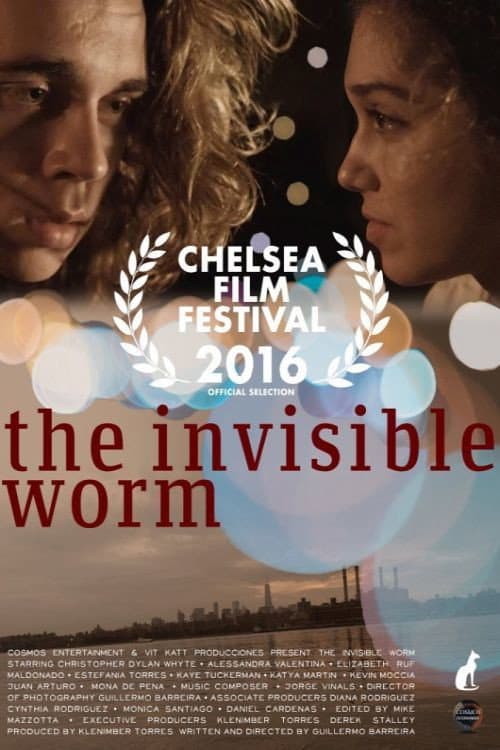 Постер до фільму «The Invisible Worm»