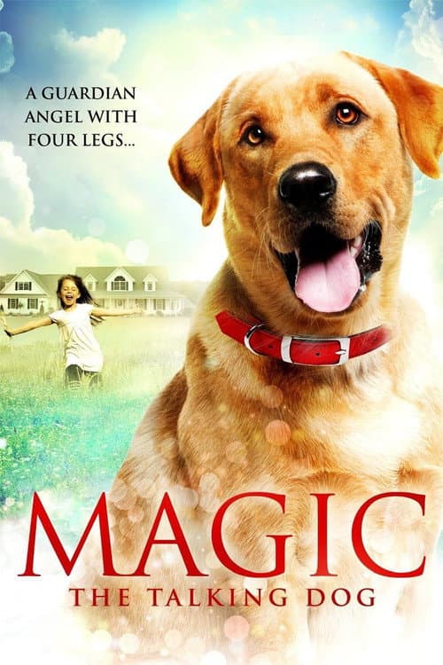 Постер до фільму «Magic»