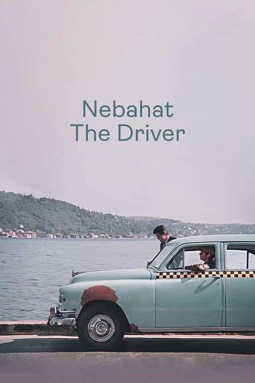 Poster for Nebahat The Driver