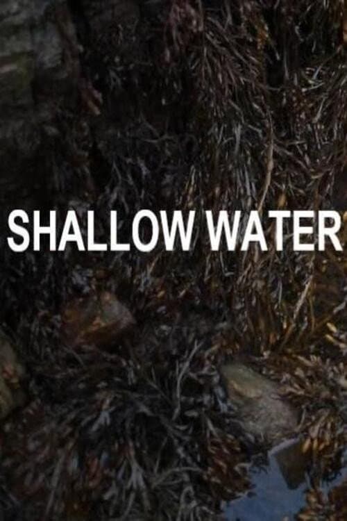 Poster for Shallow Water