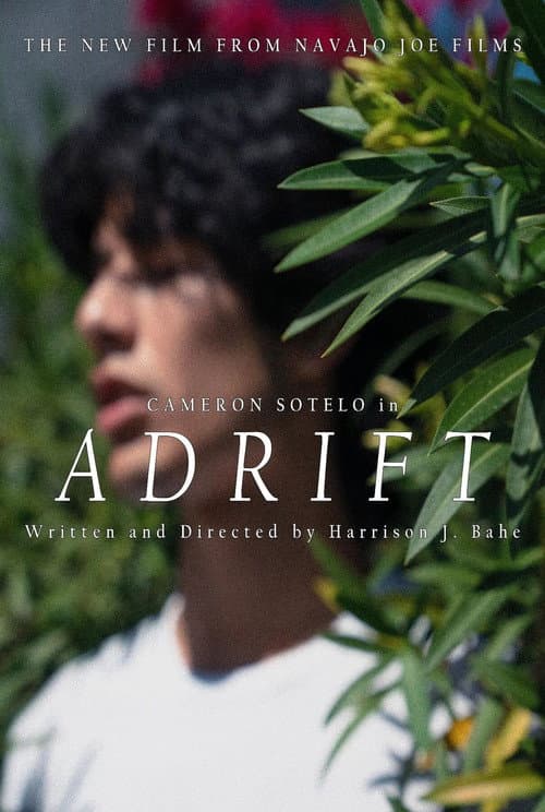 Poster for ADRIFT