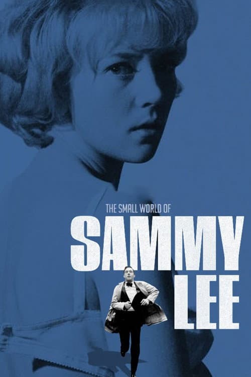 Poster for The Small World of Sammy Lee