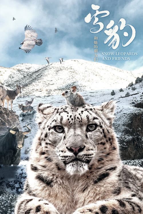 Poster for Snow Leopards and Friends