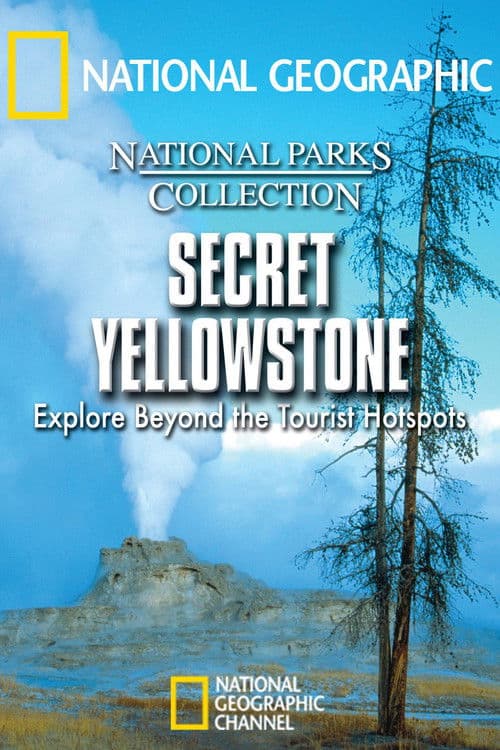 Poster for Secret Yellowstone