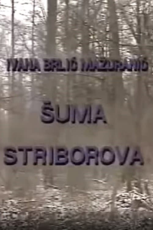 Poster for Stribor's Forest