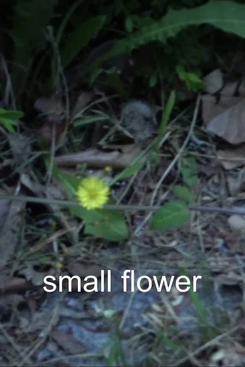Poster for Small Flower