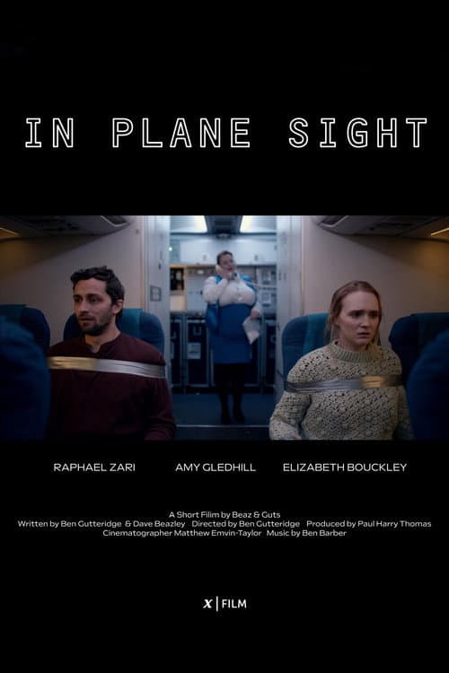 Poster for In Plane Sight