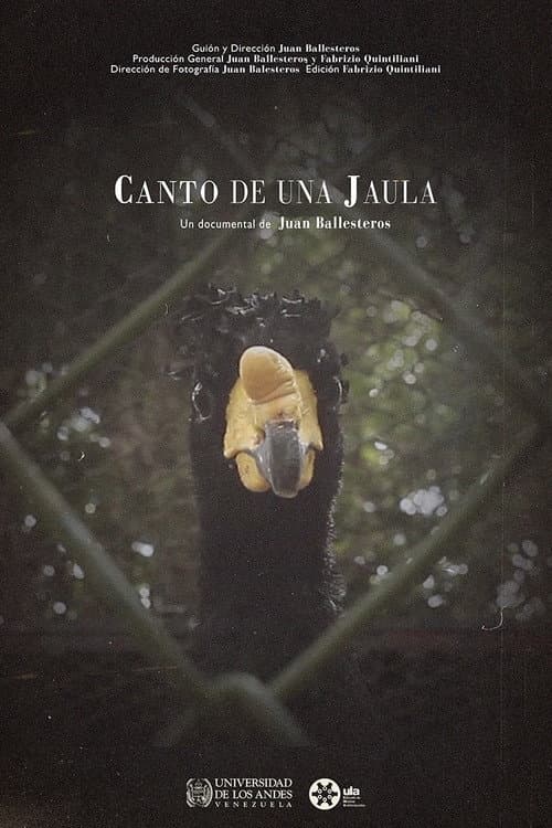Poster for Canto de una jaula