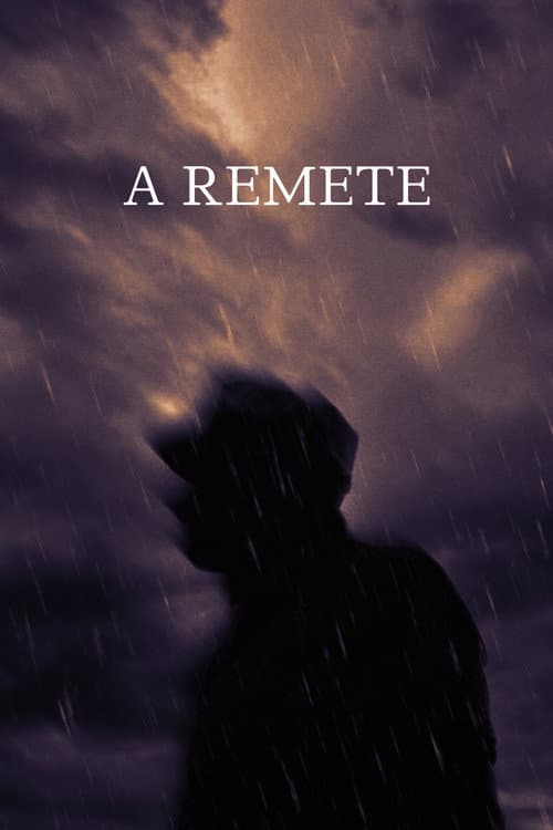 Poster for The Hermit