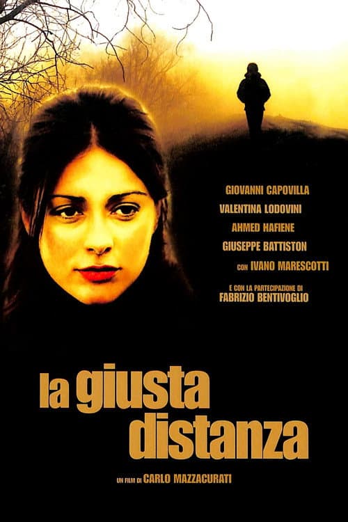 Poster for The Right Distance