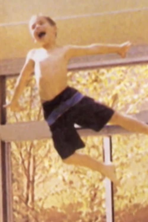Poster for The Boy in the Air