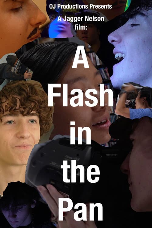 Poster for A Flash in The Pan