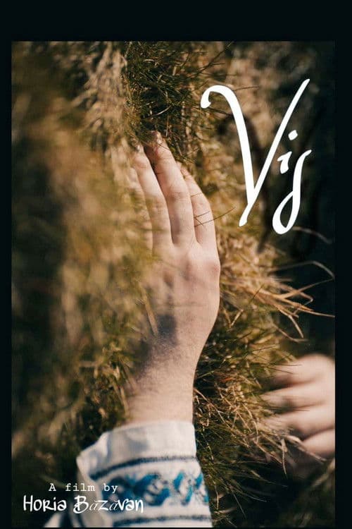 Poster for VIS