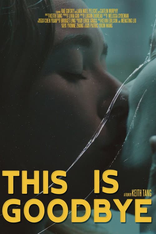 Poster for This is Goodbye