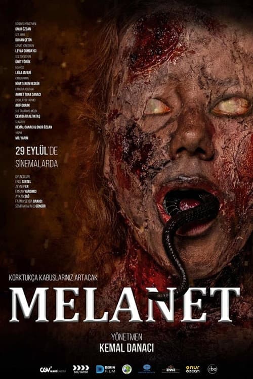 Poster for Melanet
