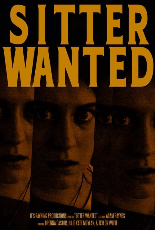 Poster for Sitter Wanted