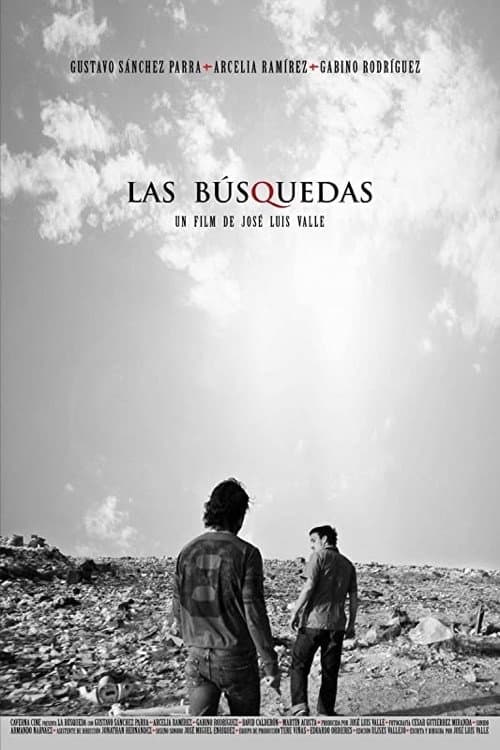 Poster for The Searches