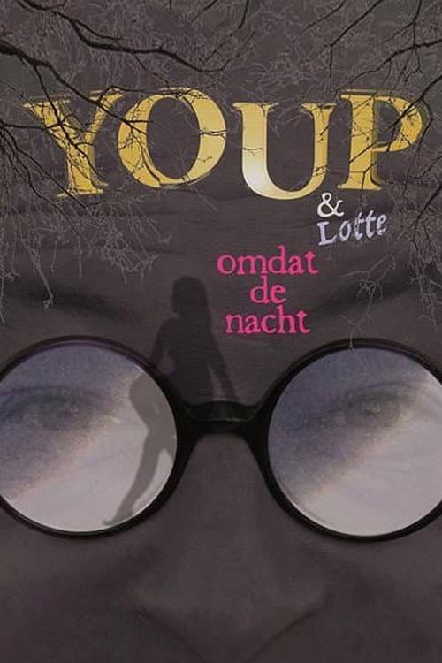 Poster for Youp van 't Hek: Omdat De Nacht