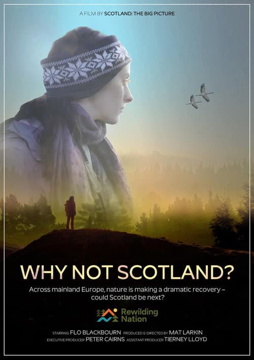 Poster for Why Not Scotland?