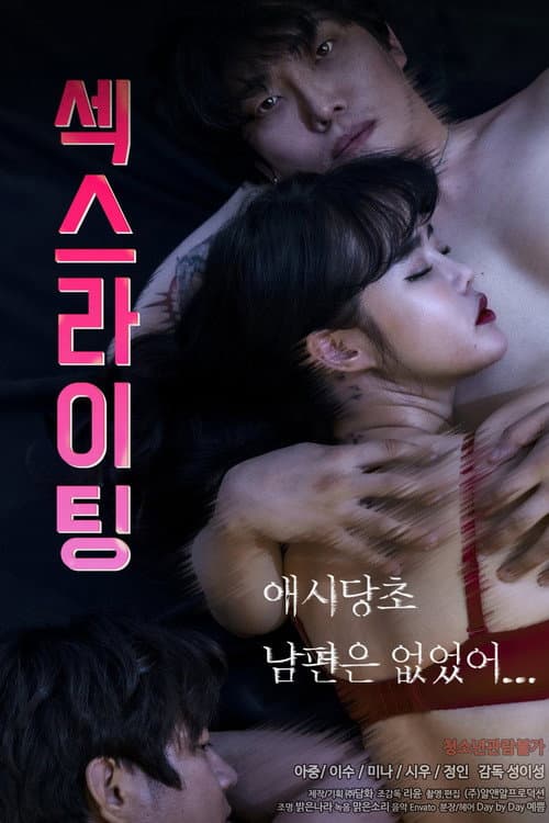 Poster for Sexwriting
