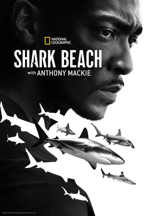 Poster for Shark Beach with Anthony Mackie