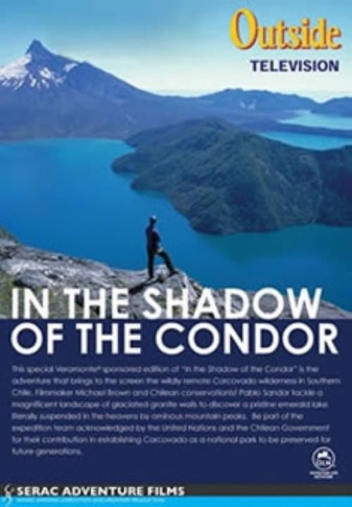 Poster for In the Shadow of the Condor