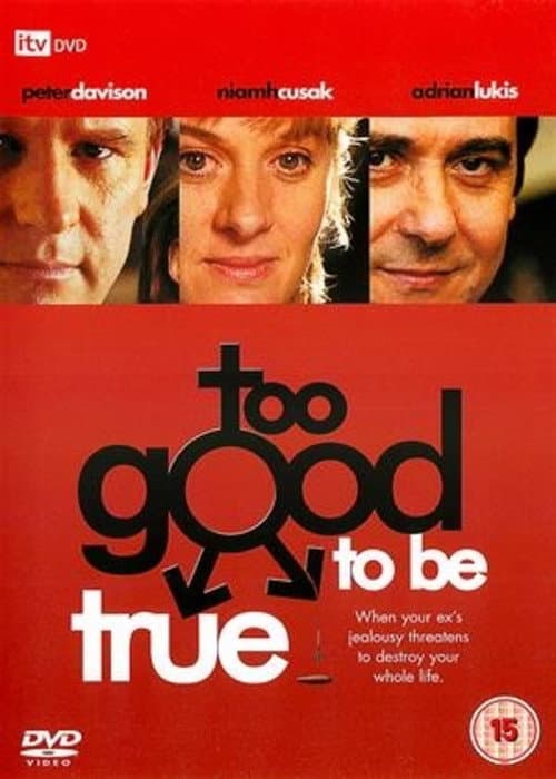 Poster for Too Good to Be True
