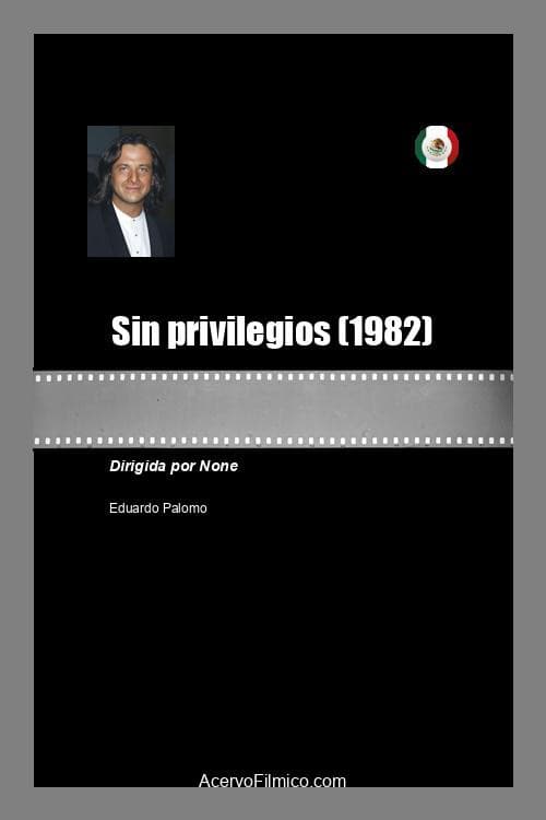 Poster for Sin privilegios