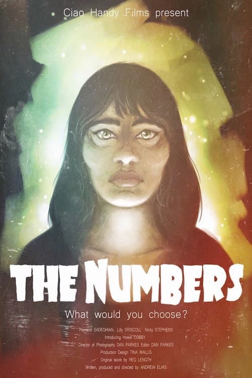 Poster for The Numbers