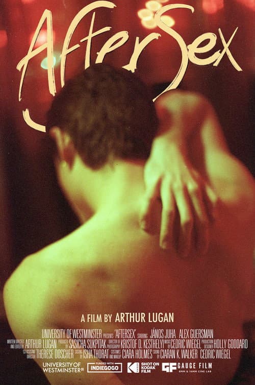 Poster for AfterSex
