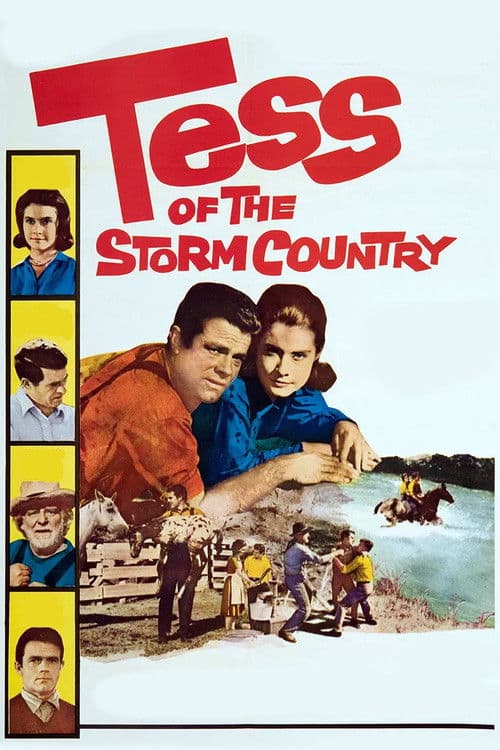 Постер до фільму «Tess of the Storm Country»