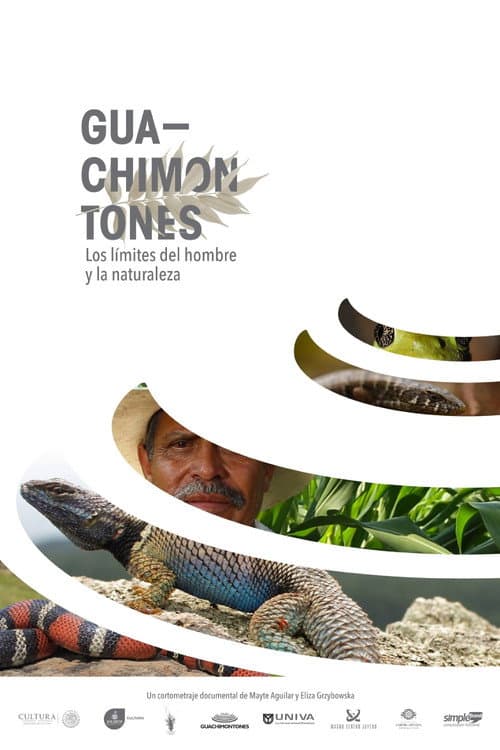Poster for Guachimontones, los límites del hombre y la naturaleza.