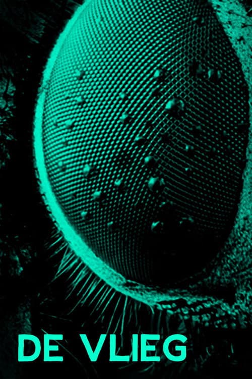 Poster for The Fly