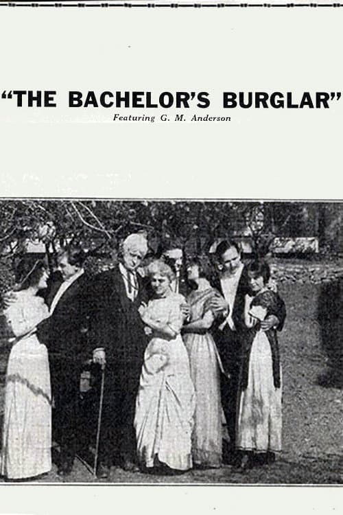 Poster for The Bachelor's Burglar