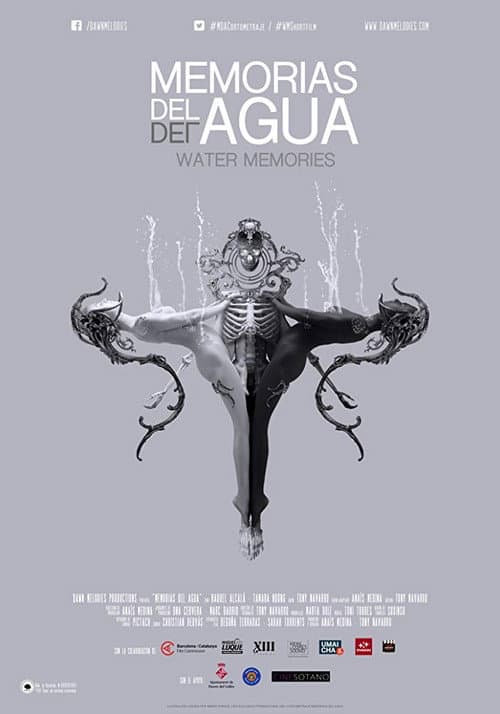 Poster for Water Memories
