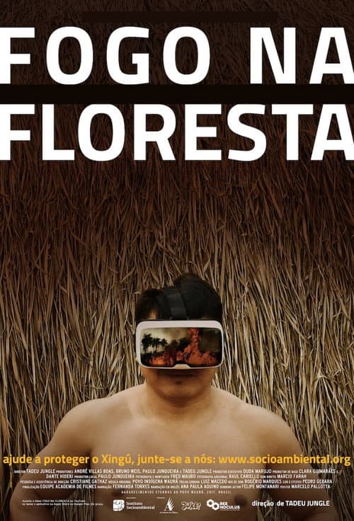 Poster for Fire in the Forest