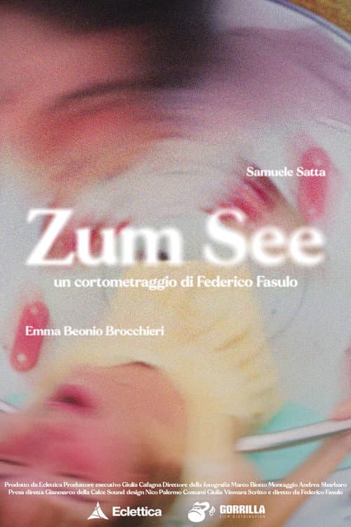 Poster for Zum See
