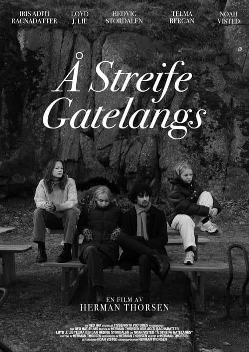 Poster for Å Streife Gatelangs