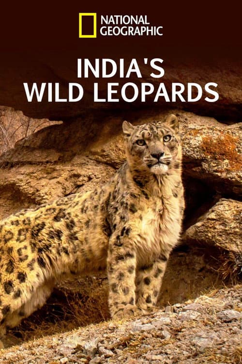 Poster for India's Wild Leopards